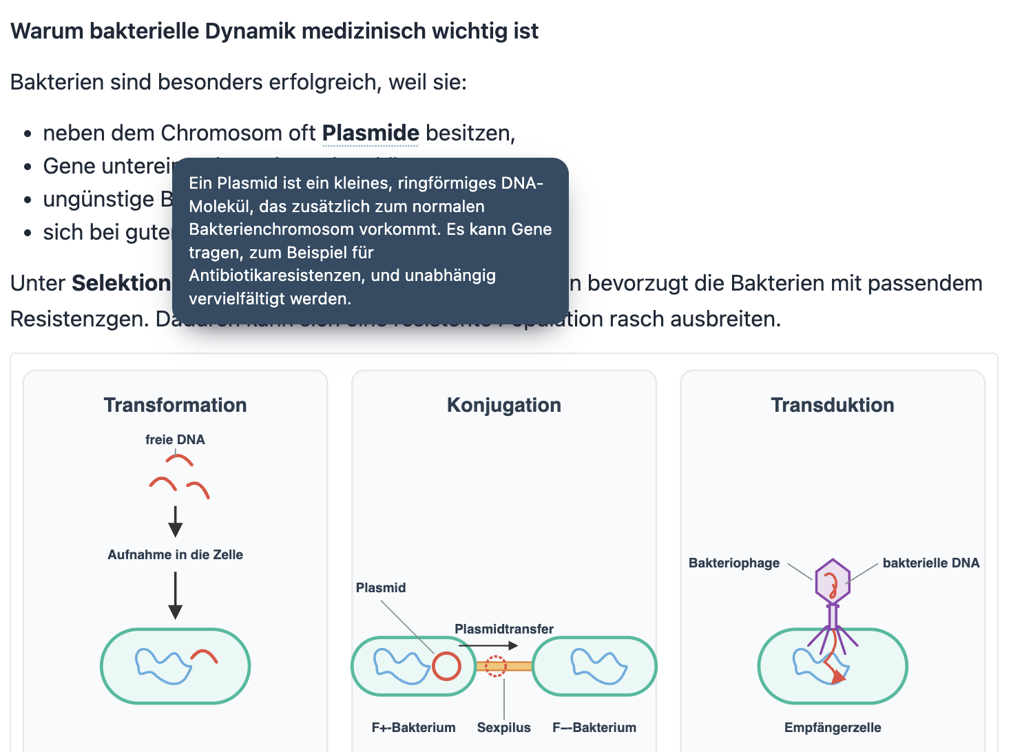 Screenshot eines Glossar-Hinweises in einer Lernnotiz